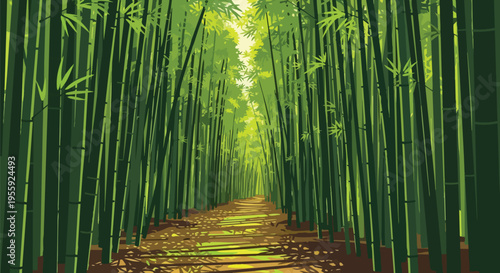 Lush emerald bamboo stalks line a sun-dappled earthy trail deep within the forest environment