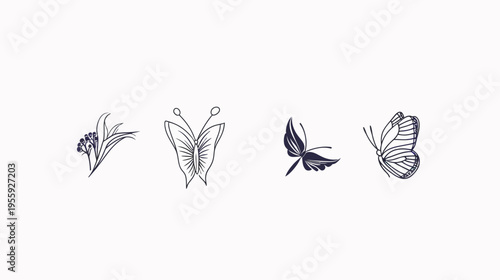 Botanical and butterfly sketches, line drawings in blue ink on a white background
