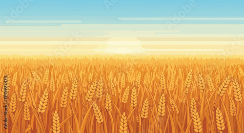 Golden harvest abundance under a tranquil morning sky, depicting a vast cereal crop landscape ready for gathering