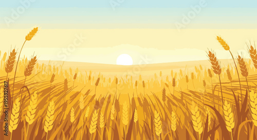 A panoramic view of a golden wheat field at sunrise or sunset under a clear sky symbolizing agricultural abundance and the peaceful rural landscapes