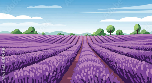 Expansive lavender fields under a clear sky showcasing natural beauty and serene agricultural vistas