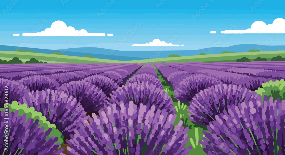 Fototapeta premium Expansive purple lavender bloom stretching towards distant green mountains under a bright sunny day