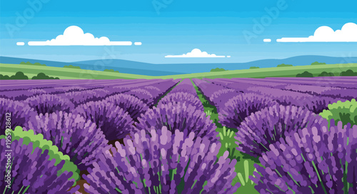 Expansive purple lavender bloom stretching towards distant green mountains under a bright sunny day