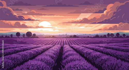 Vibrant lavender fields under a dramatic sunset sky with artistic clouds and golden light