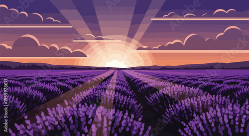 Serene Lavender Field Dawn with Radiating Sunbeams Across Purple Blossoms