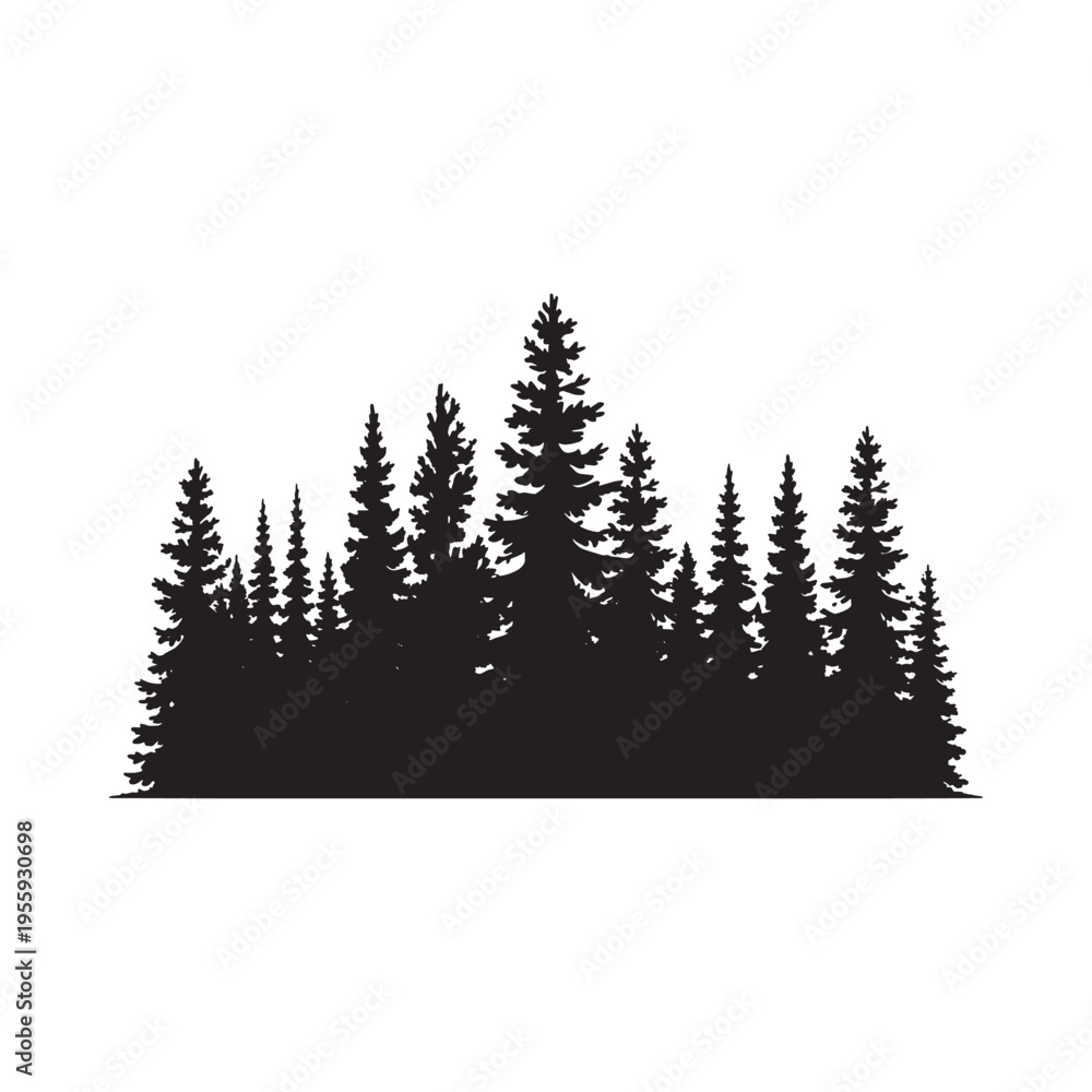Fototapeta premium Silhouetted coniferous trees forming a dense forest landscape