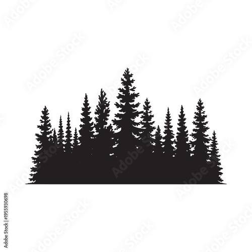 Silhouetted coniferous trees forming a dense forest landscape