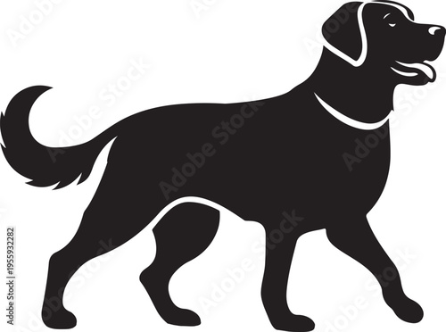 Silhouette of a standing dog with a floppy ear and collar Vector, illustration