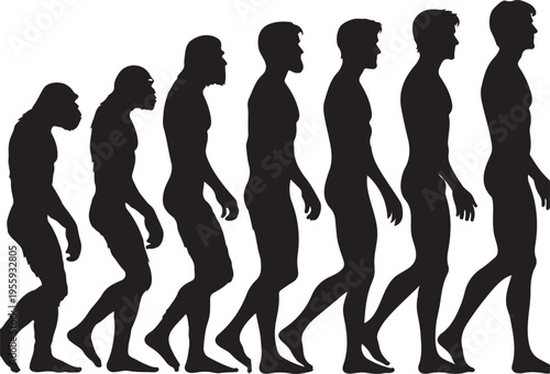 Evolutionary progression of human-like bipedal silhouettes from ape to modern human Vector, illustration