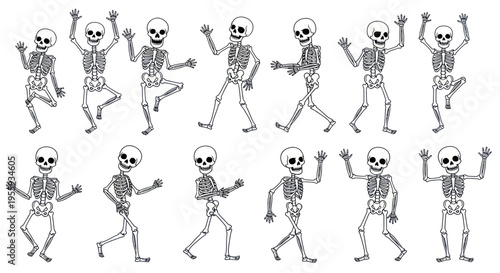 Happy Skeleton Poses Collection, Dancing, Waving, Walking, Fun Cartoon Characters