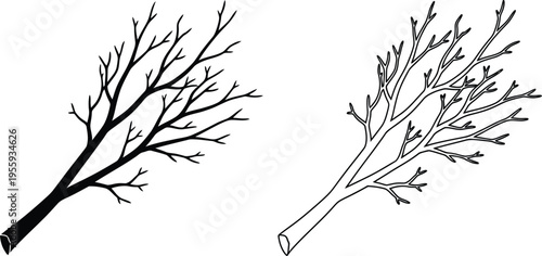 Black and White Tree Branch Silhouette Set Vector
