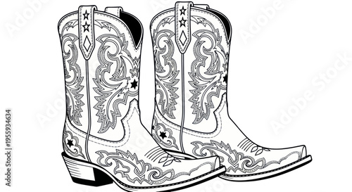 Ornate Cowboy Boots Illustration