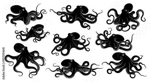 Set of Black Octopus Silhouettes on White Background