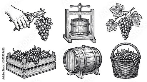 Vintage winemaking icon set in an engraved style. Features grapes, press, barrel, and harvest elements. Ideal for wine labels, winery branding, and agricultural themes.