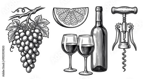 A set of vintage wine illustrations in a classic engraving style. Includes grapes, wine bottle, glasses, and corkscrew. Perfect for menu design, labels, and winery branding.
