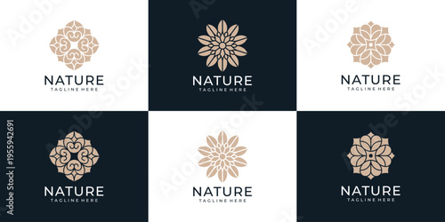 Set of beauty nature flower logo symbol