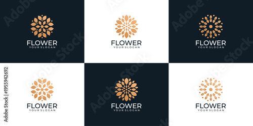 Set of beauty luxury spa health flower logo vector for decoration