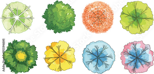 Top-down illustration of eight stylized trees and shrubs in varied colors and textures, symbolizing landscape design, urban planning, gardening, vegetation, and creative artwork projects