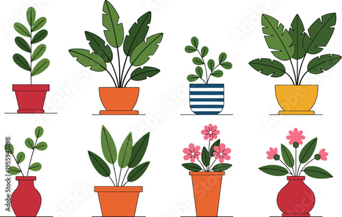 Vector illustration set of eight indoor potted houseplants and flowering plants in colorful ceramic pots for home decor gardening and interior design projects