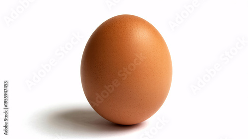 A brown egg standing alone on a white background with a subtle shadow
