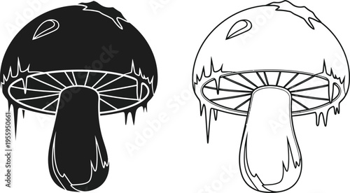 Black and white mushroom illustration Vector