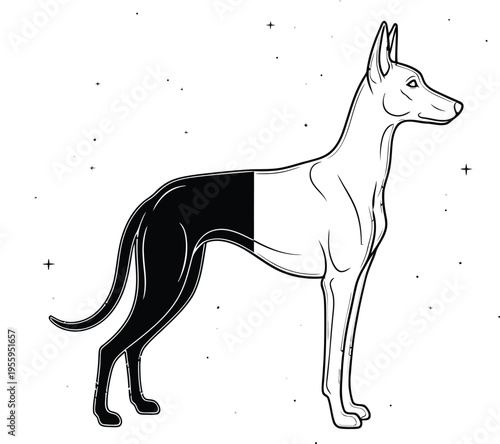 Dog illustration with black and white coloring Vector