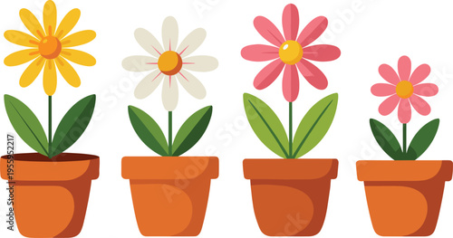 Vector illustration set of four colorful daisy flowers in terracotta clay pots including yellow white and pink blossoms for spring gardening and decor