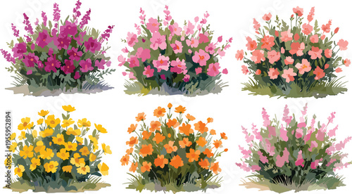 Vector illustration set of six different colorful flowering shrubs and bushes with pink purple yellow and orange blossoms for garden and landscape nature designs