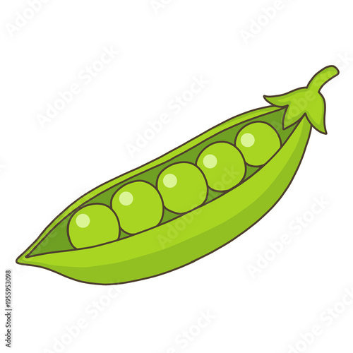 野菜-エンドウマメ