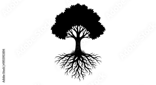 A simple black silhouette of a tree with visible roots on a white background.