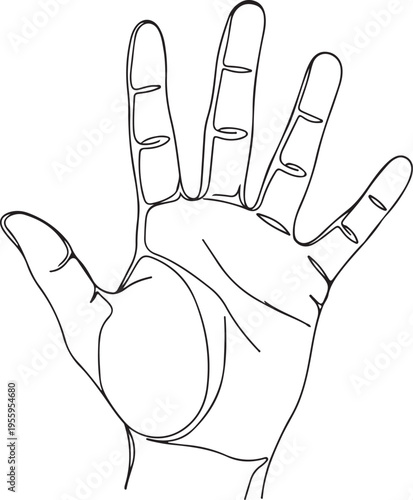Outline drawing of an open human hand with fingers spread on transparent background vector illustration