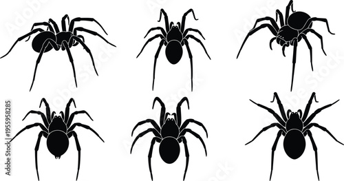 Collection of spider silhouettes featuring various tarantula and arachnid poses for Halloween decor scary insect vector illustrations and wildlife nature design cad drawing elements.