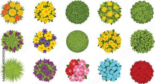 Collection of garden plants and flowers top view featuring colorful blossom bushes and green shrubs for landscape design botanical vector illustration cad drawing sets.
