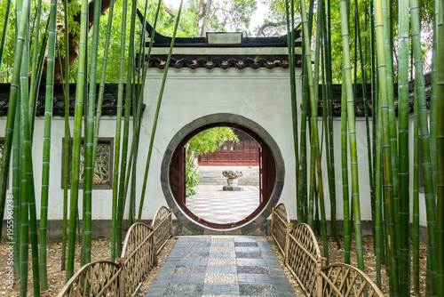 Photography bamboo forest and buildings in china