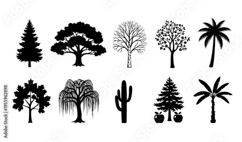 A set of black silhouettes of various trees and plants on a white background