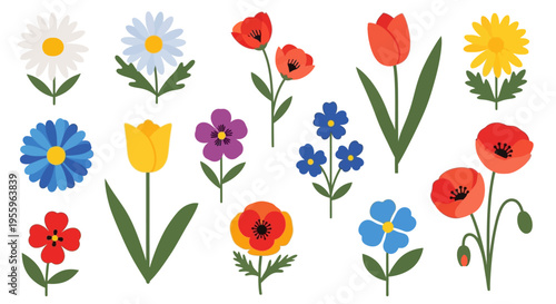 Colorful flowers on white background.