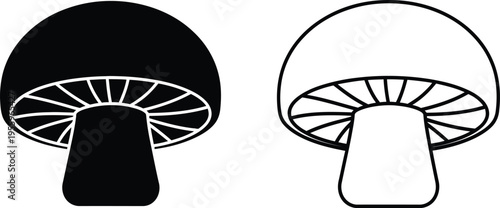 Black and white mushroom illustrations Vector