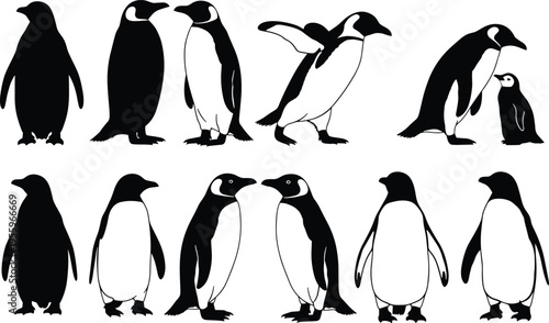 Penguin silhouettes collection featuring standing, walking and family poses isolated vector set for wildlife design, Antarctic illustration and nature themed graphics