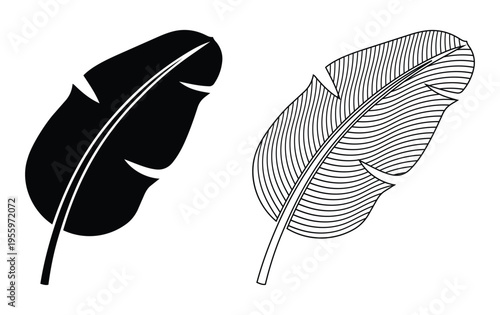 Banana leaf vector illustration set with solid black silhouette and detailed line art style design