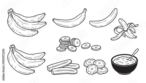 Banana fruit sliced peeled peeled whole illustration vector set healthy food artwork