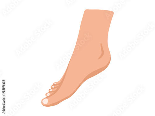 Foot Human Cartoon Clip Art
