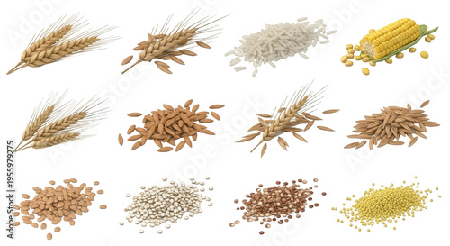 various grains and seeds are arranged on a clean white background ingredients for healthy eating and agriculture