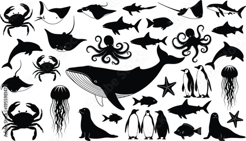 Marine animal silhouette illustration set featuring whales, dolphins, sharks, stingrays, octopus, jellyfish, crabs, seals, penguins, fish, starfish artwork.