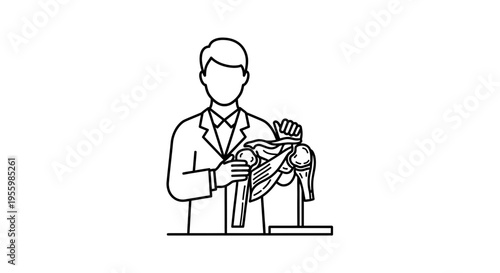 Doctor Explaining Shoulder Anatomy Model, Medical Illustration