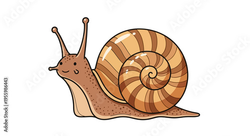 Brown Snail With Striped Shell Crawling.