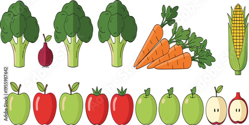 Large vector illustration set of fresh organic vegetables and fruits including broccoli carrots corn red onions tomatoes and apples for healthy diet nutrition and grocery design.