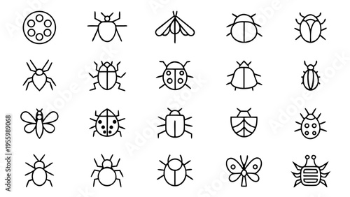 A collection of thirty-six white line icons on a black background depicts various insects and arachnids including ladybugs, spiders, and scorpions.