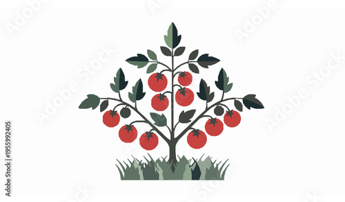 Minimal flat tomato plant vector with geometric leaves and fruit clusters modern agriculture and gardening concept