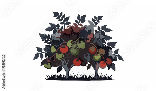 Dark detailed tomato plant vector with ripe and unripe tomatoes growing from grass base gardening harvest illustration