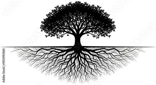 Quadro su tela Tree with extensive root system underground.